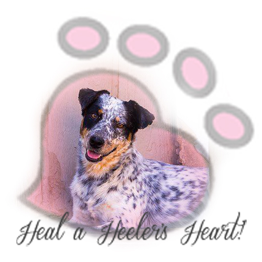 Regional Grain Free Dog Aid Puppy Keep Bezyles In Heeler preview